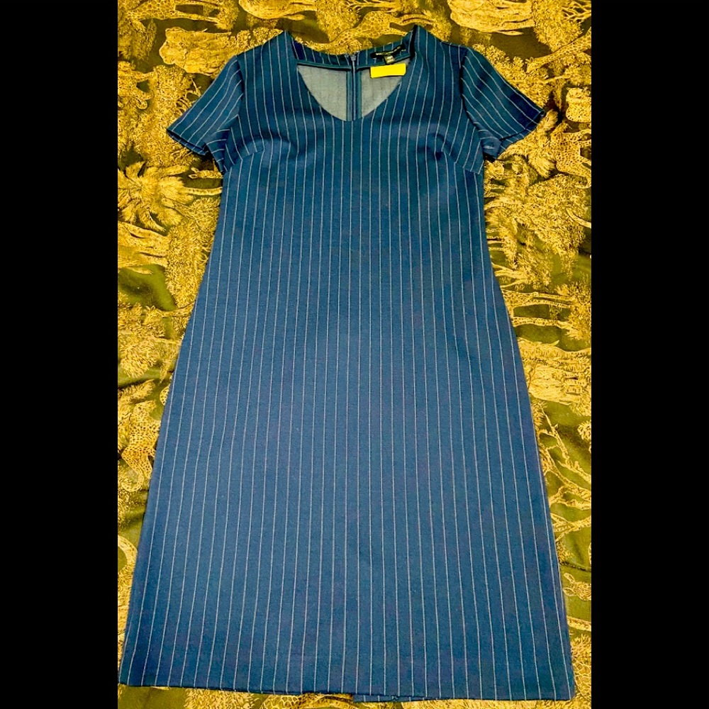 Banana Republic Denim Style Stripped Dress